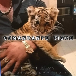 Comandante Tigre