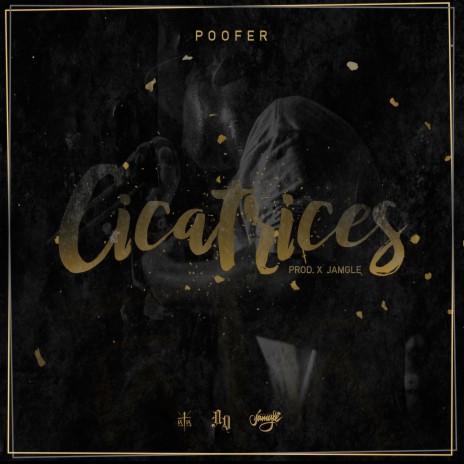 Cicatrices | Boomplay Music