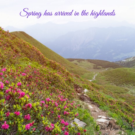 Spring Has Arrived In The Highlands | Boomplay Music