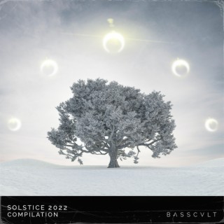Solstice 2022