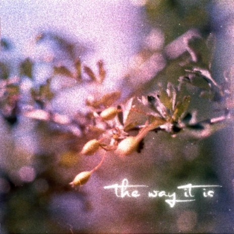 the way it is | Boomplay Music