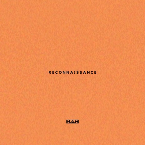 Reconnaissance | Boomplay Music