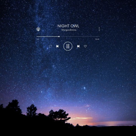 Night Owl | Boomplay Music