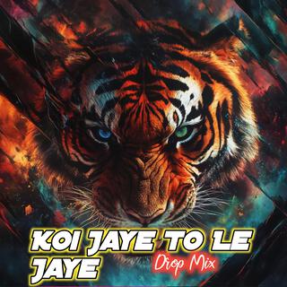 Koi Jaye To Le Jaye Drop Mix