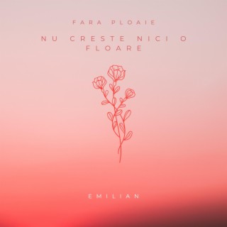 Fără ploaie nu crește nici o floare lyrics | Boomplay Music