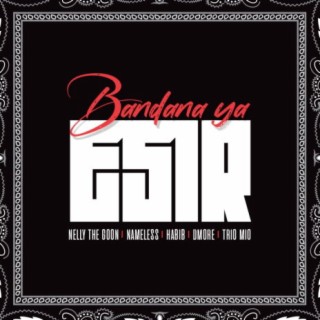 Bandana Ya E-Sir ft. NellyTheGoon x Dmore x Trio Mio x Habib lyrics | Boomplay Music