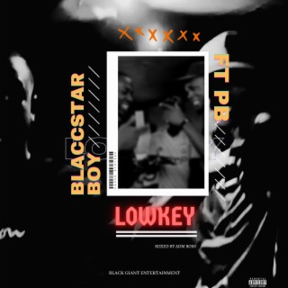 Lowkey ft. PBee lyrics | Boomplay Music