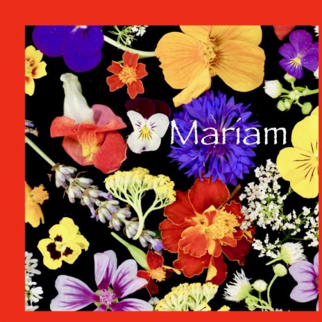 Mariam | Boomplay Music