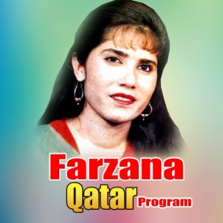 Qatar Program