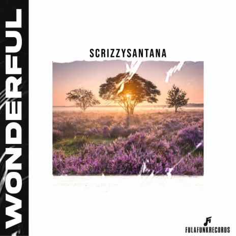 WONDERFUL ft. ScrizzySantana | Boomplay Music