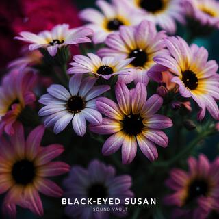 Black Eyed Susan