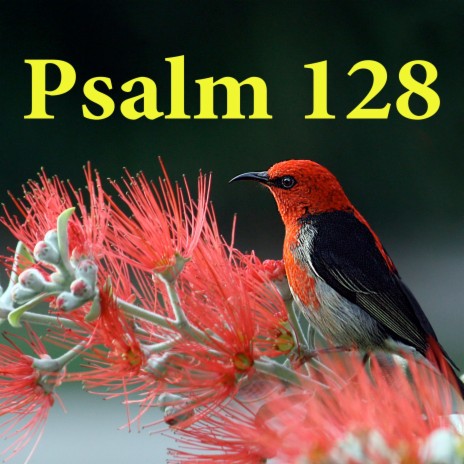 Psalm 128 | Boomplay Music