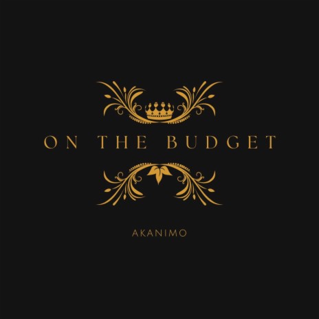 On The Budget | Boomplay Music