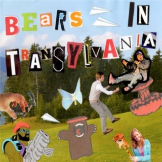 Bears in Transylvania