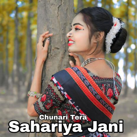 Sahariya Jani | Boomplay Music