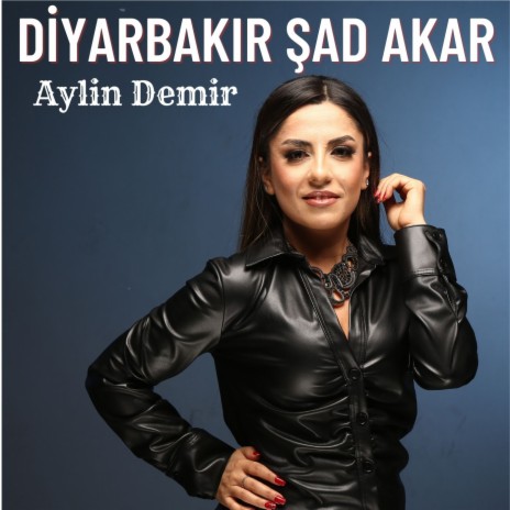 Diyarbakır Şad Akar | Boomplay Music