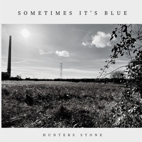Sometimes It's Blue | Boomplay Music