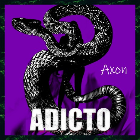 Adicto | Boomplay Music