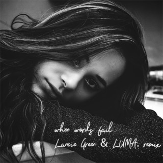 when words fail (Lancie Green & LUMA. Remix)