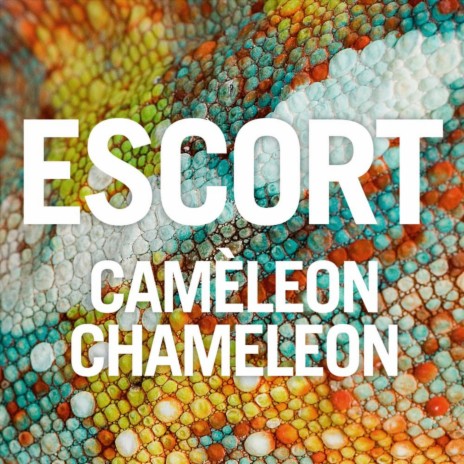 Caméleon Chameleon (Club Dub) | Boomplay Music