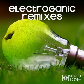 Electroganic Remixes