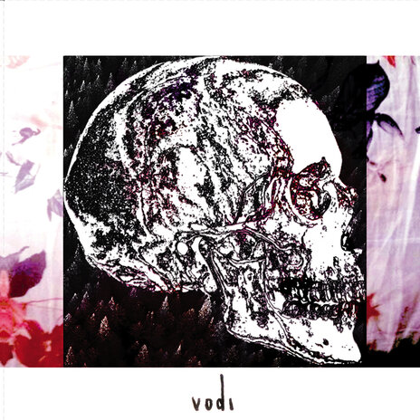 Vodi (2024 Remaster) | Boomplay Music