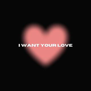 I Want Your Love