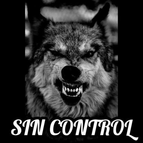 Sin Control