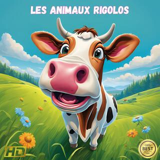 Les animaux rigolos