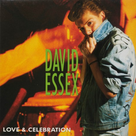 Love & Celebration (Radio Version) | Boomplay Music