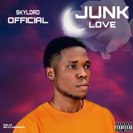 Junk Love | Boomplay Music