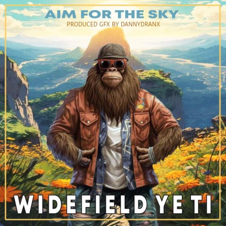 Aim For The Sky | Boomplay Music