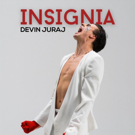 Insignia | Boomplay Music