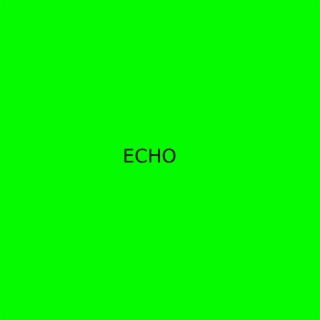 Echo