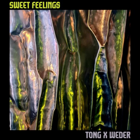 Sweet Feelings ft. WEDER | Boomplay Music