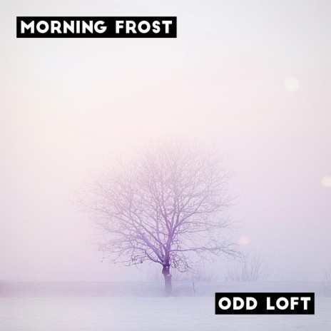 Morning Frost | Boomplay Music