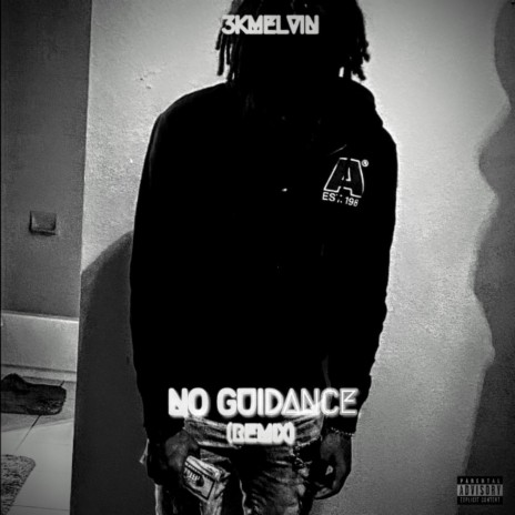 No Guidance (Remix) | Boomplay Music