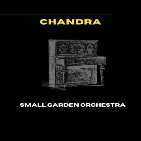 Small Garden Orchestra | Boomplay Music