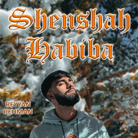 Shenshah Habiba ft. Reyyan Rehman, Austad Music & Hafiz Muhammad Hussain Hafiz | Boomplay Music