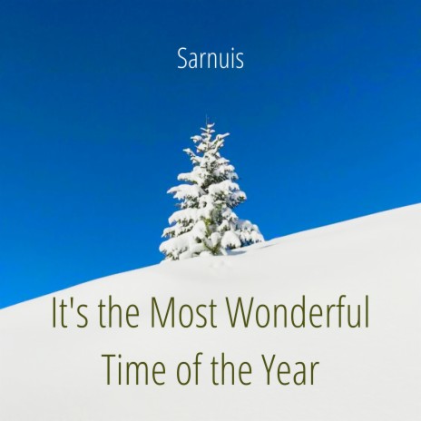 It's the Most Wonderful Time of the Year | Boomplay Music