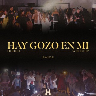 Hay Gozo En Mi (Live) lyrics | Boomplay Music