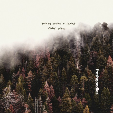 cedar plane ft. Swink | Boomplay Music