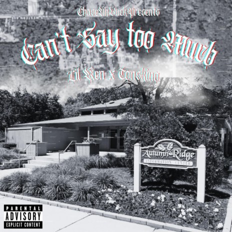 Can't Say Too Much ft. Ton$kino | Boomplay Music