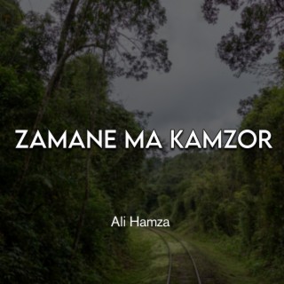 Zamane Ma Kamzor