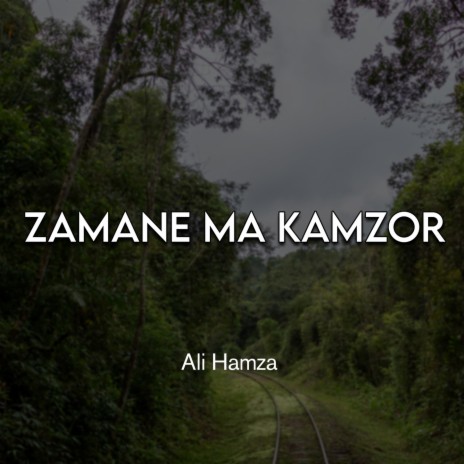 Zamane Ma Kamzor | Boomplay Music