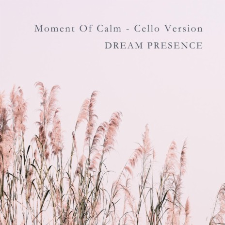 Moment Of Calm (Cello Version)