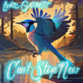 Can't Stop Now lyrics | Boomplay Music