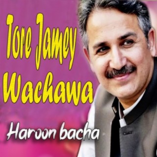 Haroon Bacha