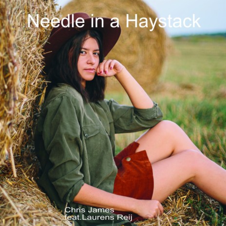 Needle in a Haystack ft. Laurens Reij | Boomplay Music