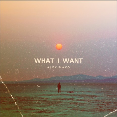 What I Want | Boomplay Music